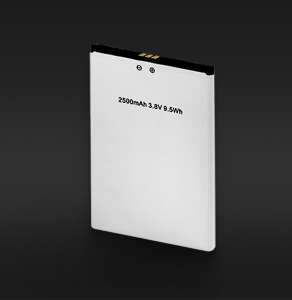 INOVA accessory battery